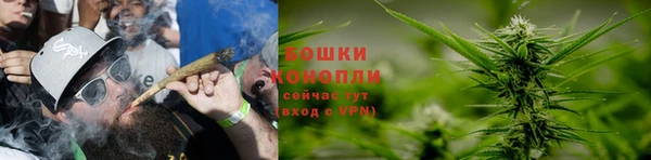 2c-b Богданович