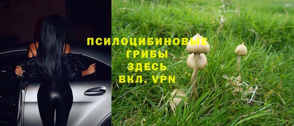 2c-b Богданович