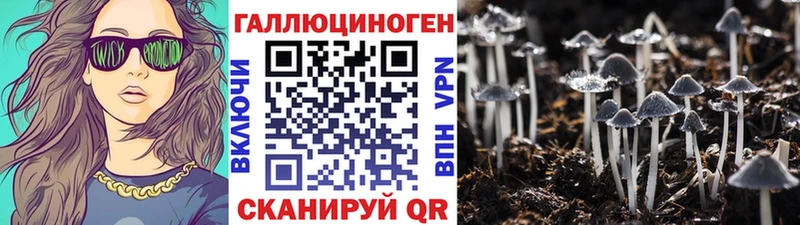 наркотики  Кедровый  блэк спрут рабочий сайт  Галлюциногенные грибы мицелий 